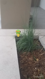 This Caterpie thought it could hide in the bushes!