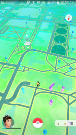 The blue markers are Pokéstops that are ready for me to collect items from, the purple markers are Pokéstops that are in cooldown mode. The white marker is an unclaimed gym.